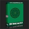 旋律素材/EDM Melody Loop Vol 4